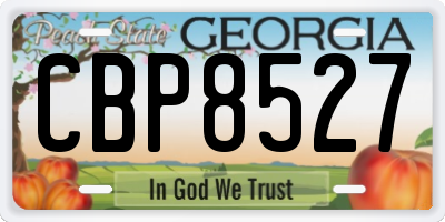 GA license plate CBP8527