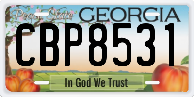 GA license plate CBP8531
