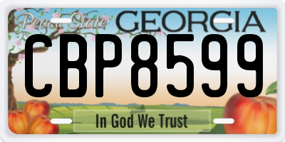 GA license plate CBP8599