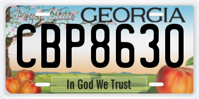 GA license plate CBP8630