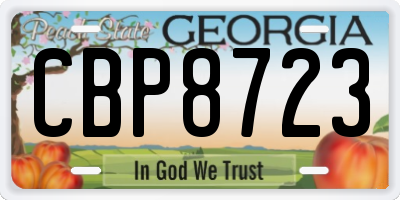 GA license plate CBP8723