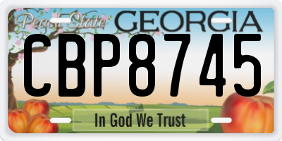 GA license plate CBP8745