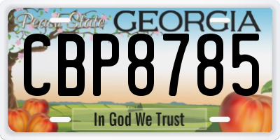 GA license plate CBP8785