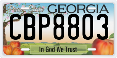 GA license plate CBP8803