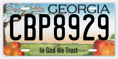 GA license plate CBP8929