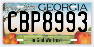 GA license plate CBP8993