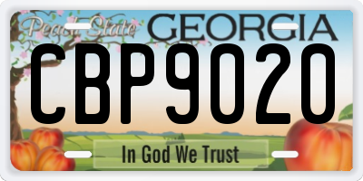 GA license plate CBP9020