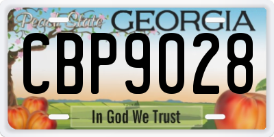 GA license plate CBP9028
