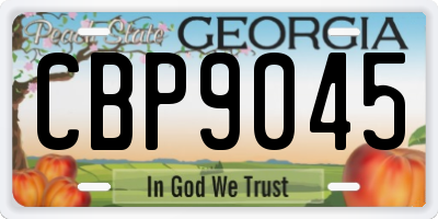 GA license plate CBP9045