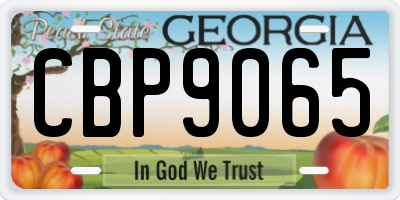 GA license plate CBP9065
