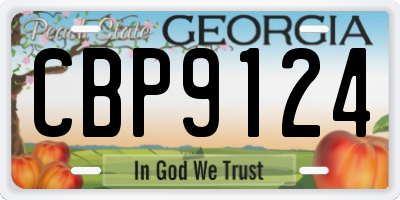 GA license plate CBP9124
