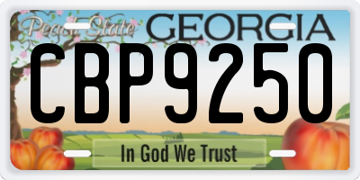 GA license plate CBP9250