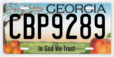 GA license plate CBP9289