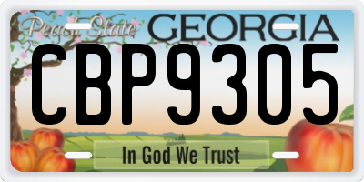 GA license plate CBP9305