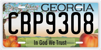 GA license plate CBP9308