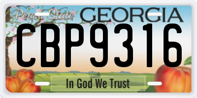 GA license plate CBP9316