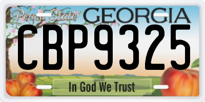 GA license plate CBP9325