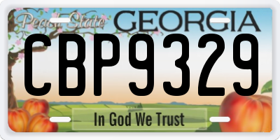 GA license plate CBP9329