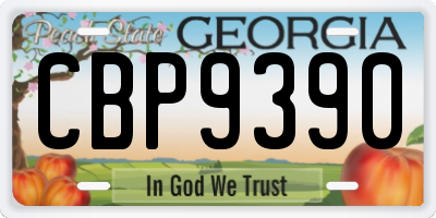 GA license plate CBP9390