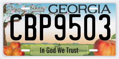 GA license plate CBP9503