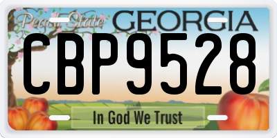 GA license plate CBP9528