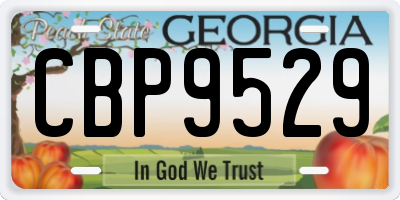 GA license plate CBP9529