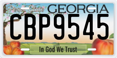 GA license plate CBP9545