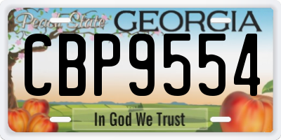 GA license plate CBP9554