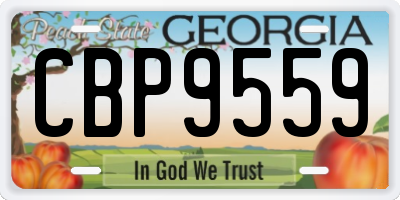 GA license plate CBP9559