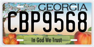 GA license plate CBP9568