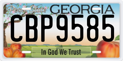 GA license plate CBP9585