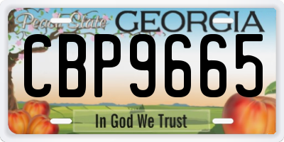 GA license plate CBP9665