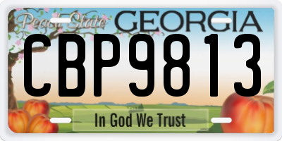 GA license plate CBP9813