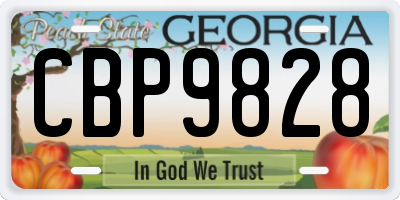 GA license plate CBP9828