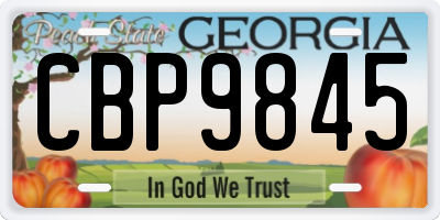 GA license plate CBP9845