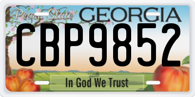 GA license plate CBP9852