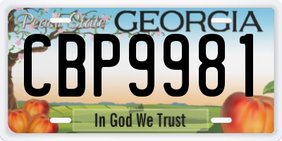 GA license plate CBP9981