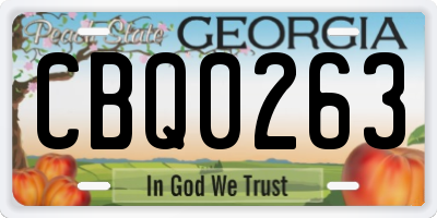 GA license plate CBQ0263