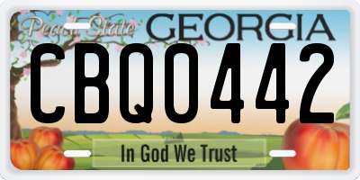 GA license plate CBQ0442