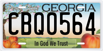 GA license plate CBQ0564