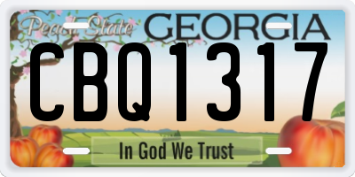 GA license plate CBQ1317