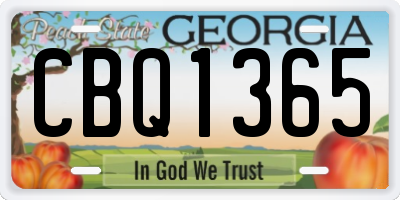 GA license plate CBQ1365