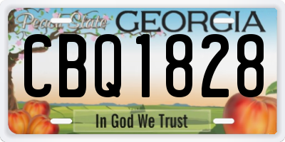 GA license plate CBQ1828