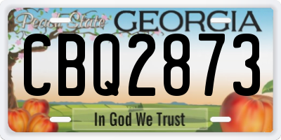 GA license plate CBQ2873
