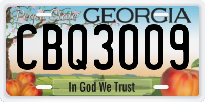 GA license plate CBQ3009