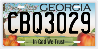 GA license plate CBQ3029