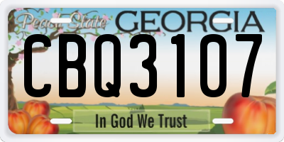 GA license plate CBQ3107