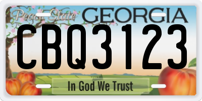 GA license plate CBQ3123