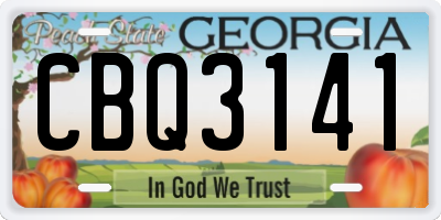 GA license plate CBQ3141