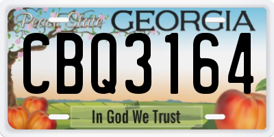 GA license plate CBQ3164